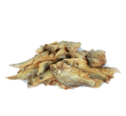 product_img1