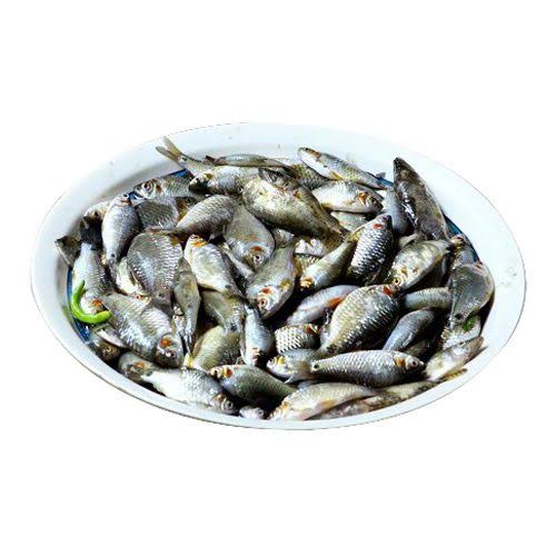 product_img1