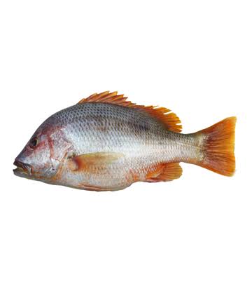 product_img1