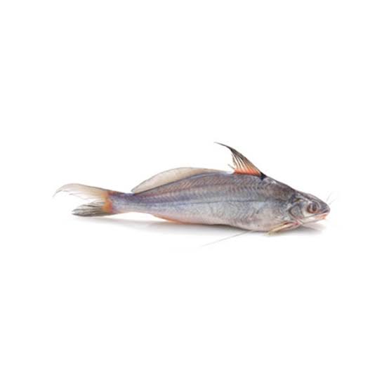 product_img1