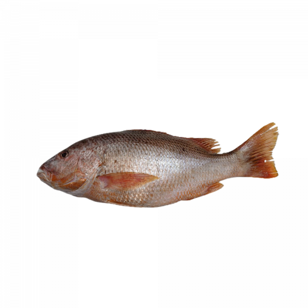 product_img1